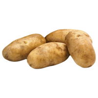 Russet Potato